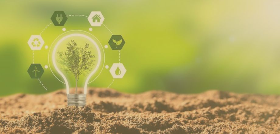 Article | Sustainability & Technology