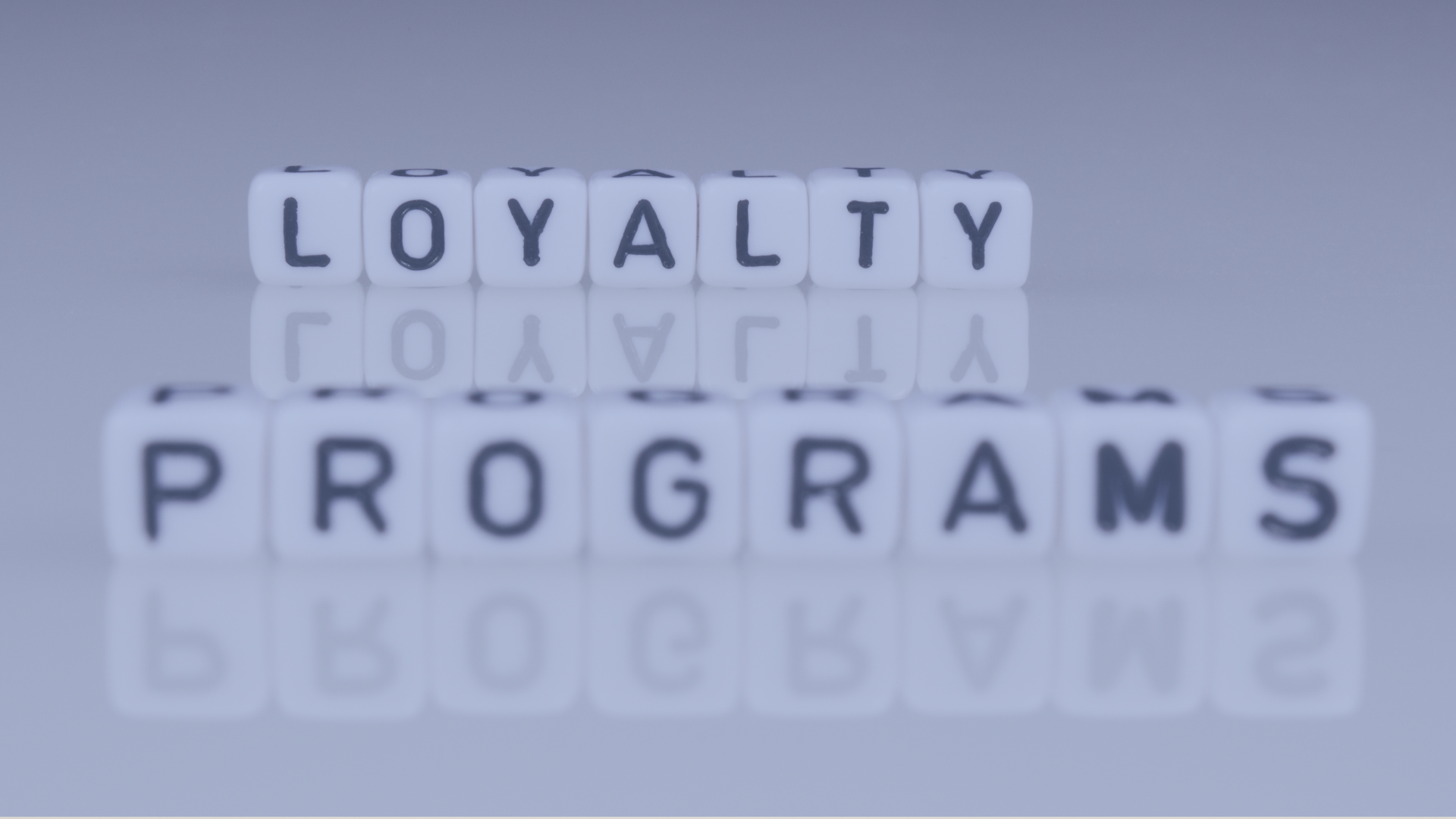 Video | Guest Loyalty